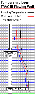 Flowing Temperature Logs